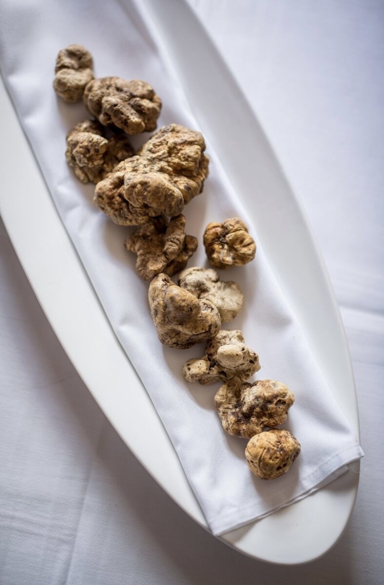 White truffles on white plate and table cloth