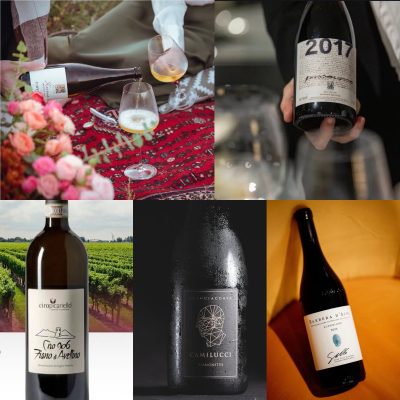 Photo collage of bottles served at the wine tasting