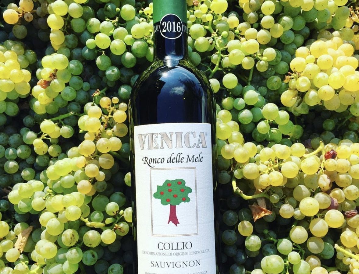 Venica Sauvignon blanc bottle with grape bunches